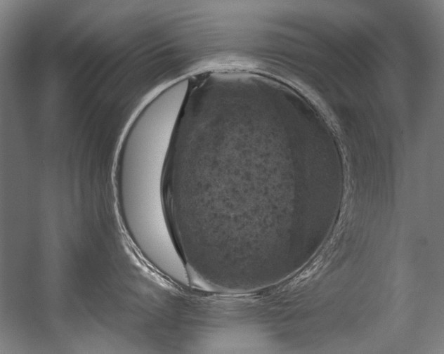 X0000057060864200509120846