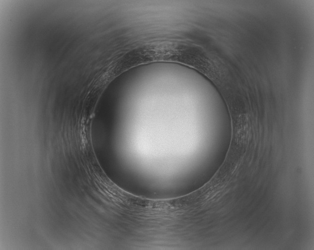 X0000057060866200509120846