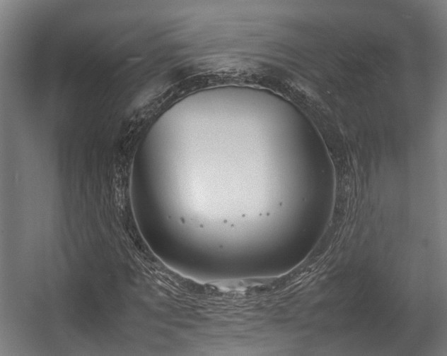 X0000057060869200509120845