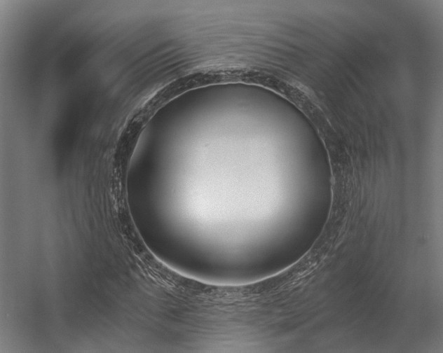 X0000057060871200509120845