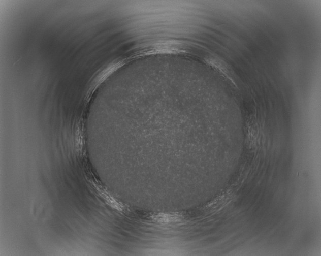 X0000057060874200509120845