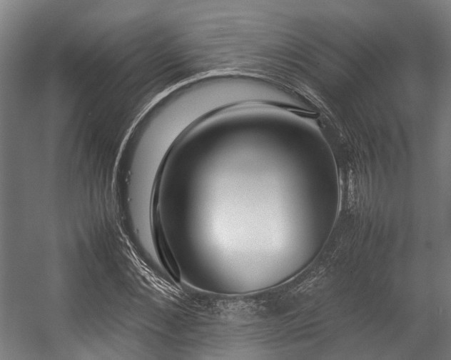 X0000057060876200509120845