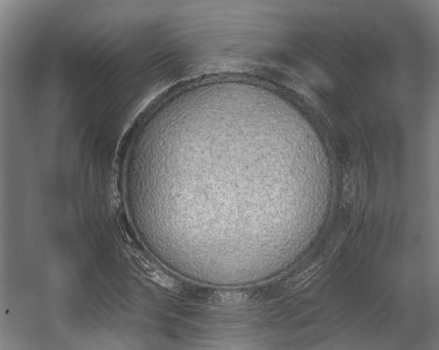 X0000057060878200509120845