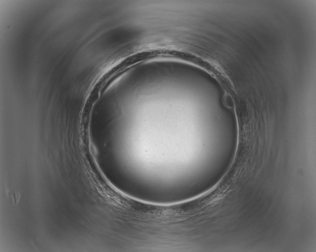 X0000057060879200509120845