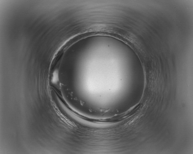 X0000057060880200509120845