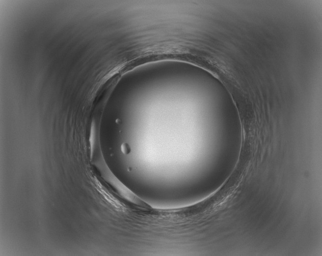 X0000057060881200509120845