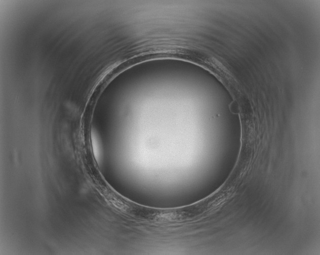 X0000057060883200509120845