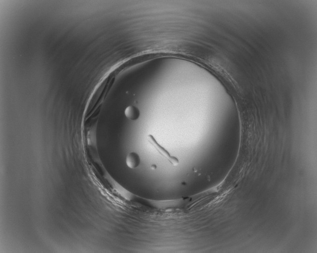 X0000057060884200509120845