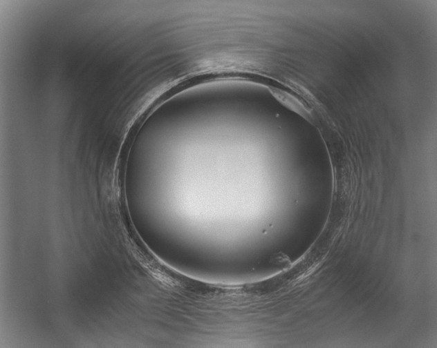 X0000057060885200509120845