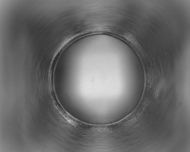 X0000057060886200509120845