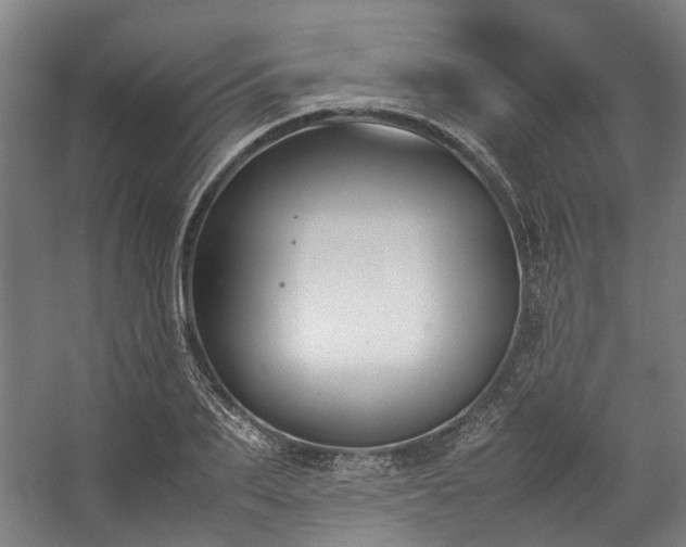 X0000057060887200509120845