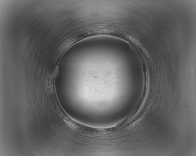 X0000057060889200509120845