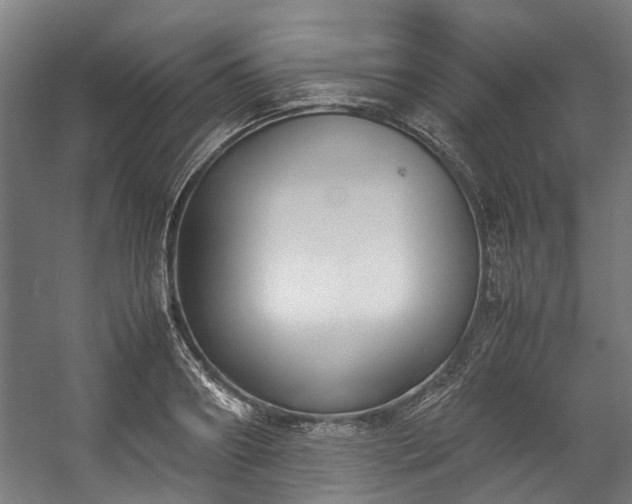 X0000057060890200509120845