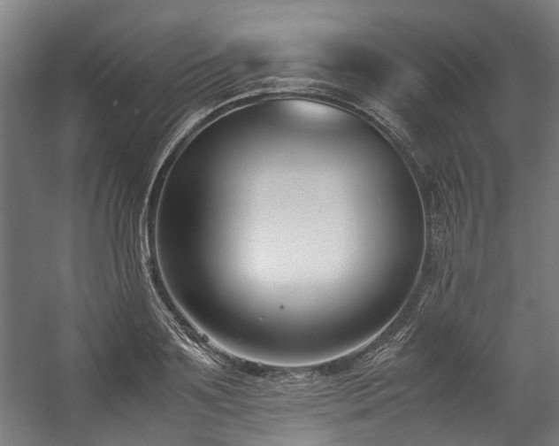 X0000057060891200509120845