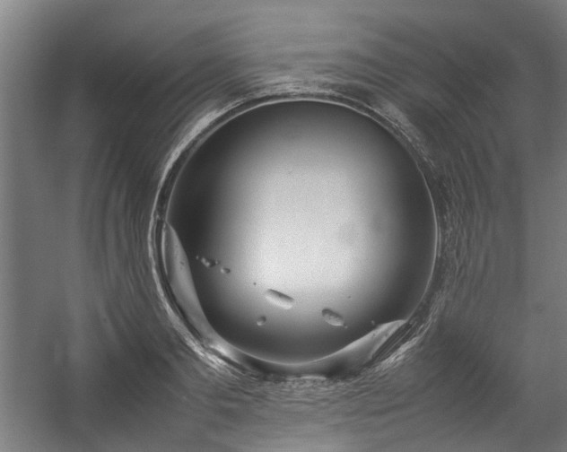 X0000057060893200509120845