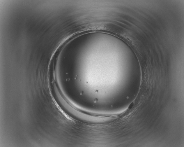 X0000057060894200509120845