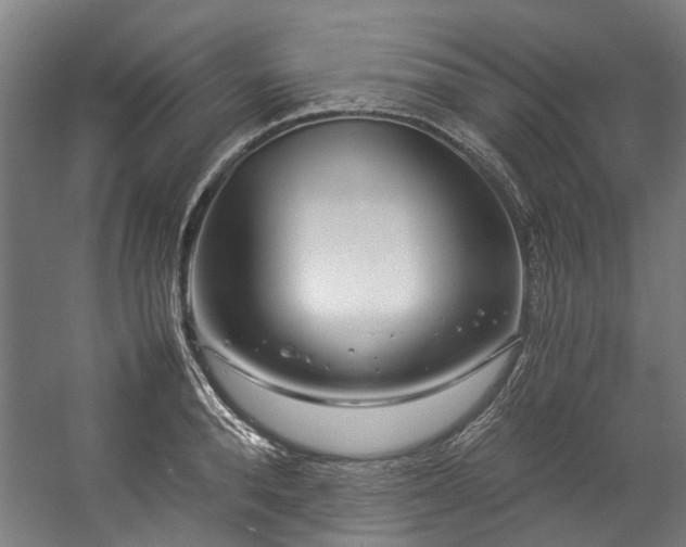 X0000057060896200509120845