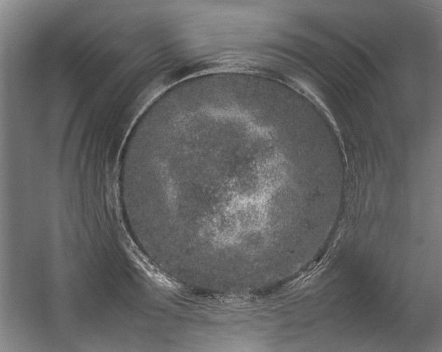 X0000057060899200509120845