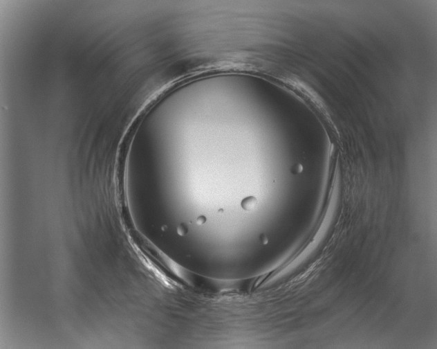 X0000057060902200509120845