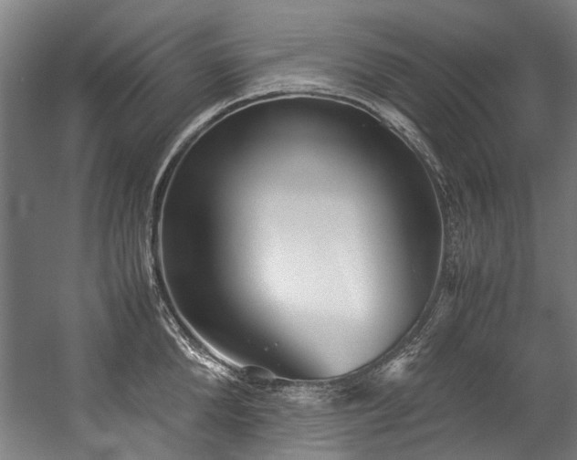 X0000057060904200509120845