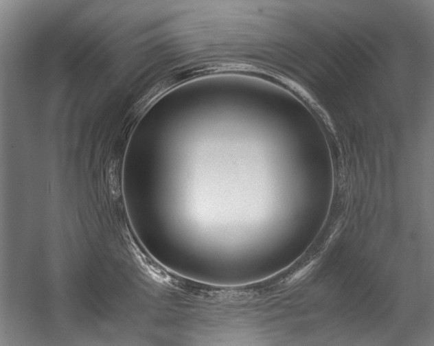 X0000057060905200509120845