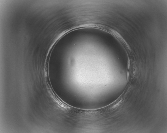 X0000057060908200509120845