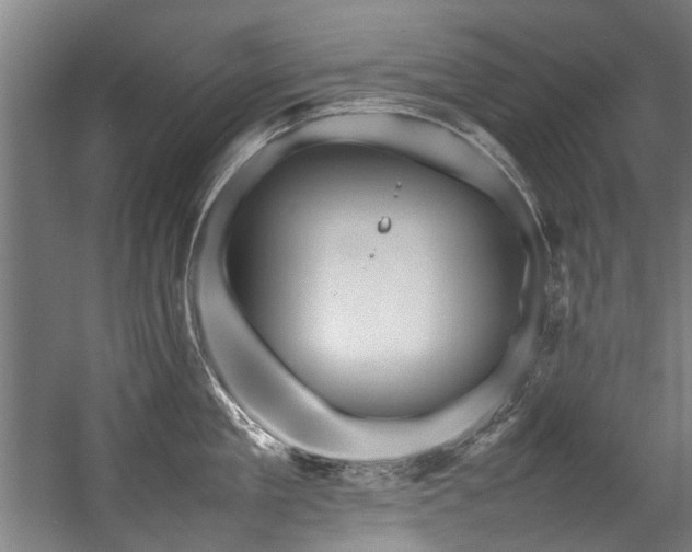 X0000057060909200509120845