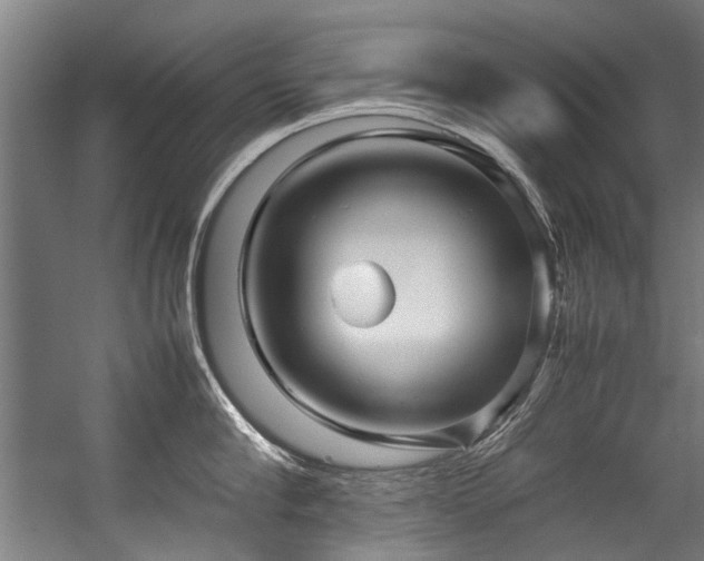 X0000057060910200509120845