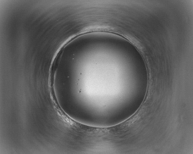 X0000057060912200509120845