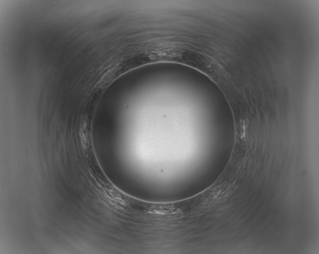 X0000057060915200509120844