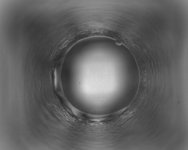 X0000057060916200509120844