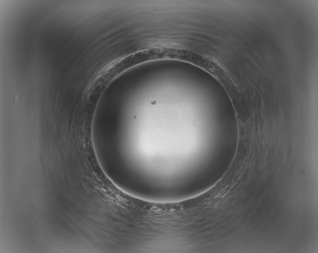 X0000057060919200509120844