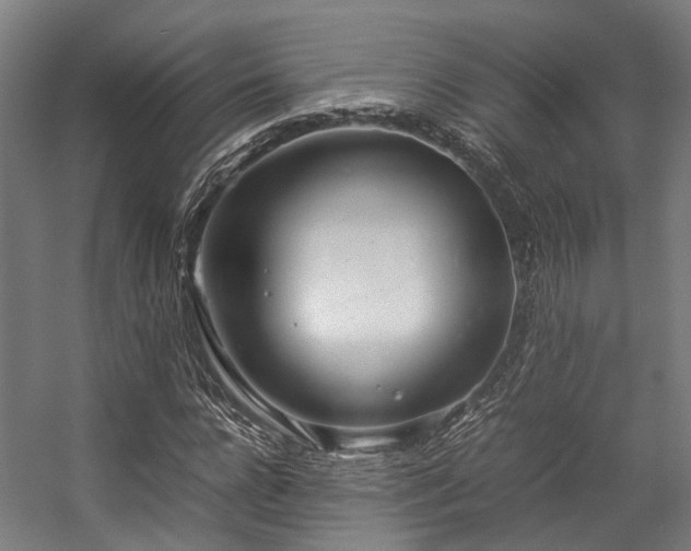 X0000057060920200509120844