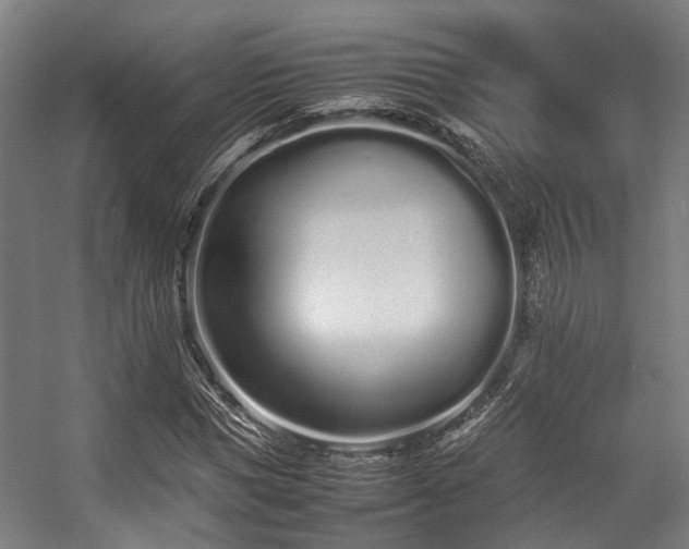 X0000057060921200509120844