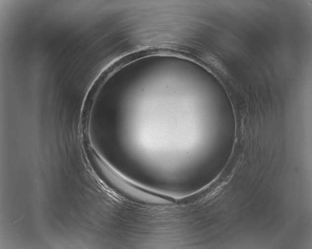 X0000057060924200509120844