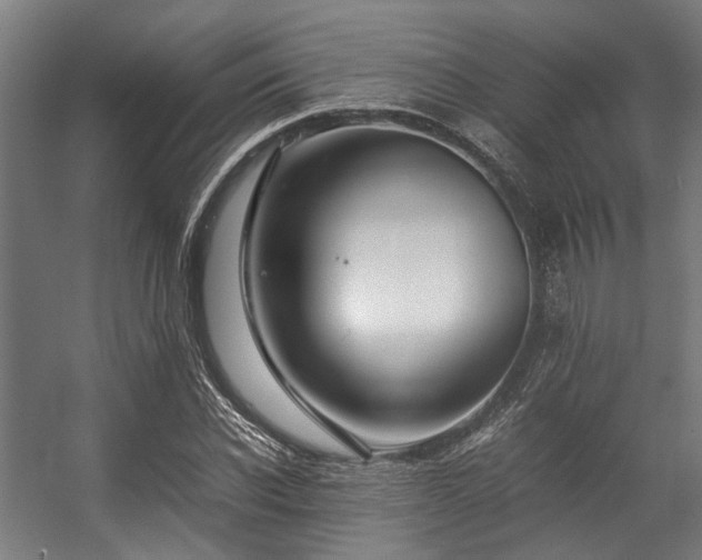 X0000057060926200509120844