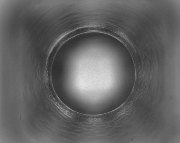 X0000057060927200509120844