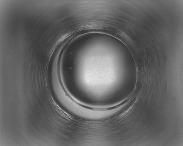 X0000057060930200509120844