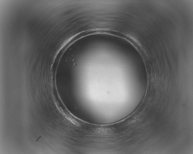 X0000057060933200509120844