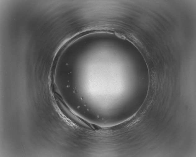 X0000057060944200509120844