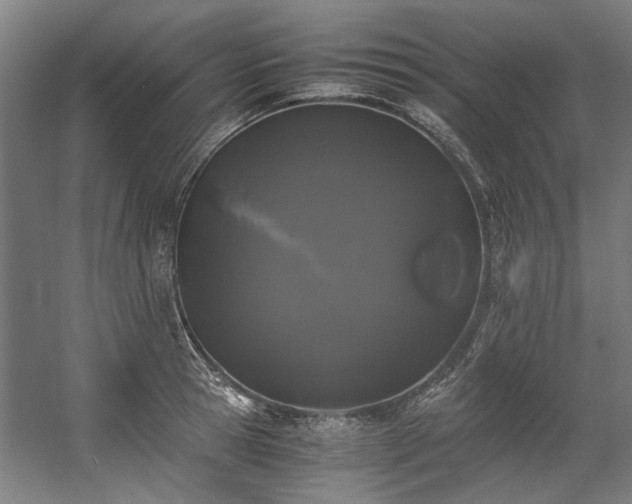 X0000057060945200509120844