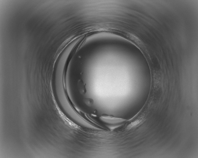 X0000057060946200509120844