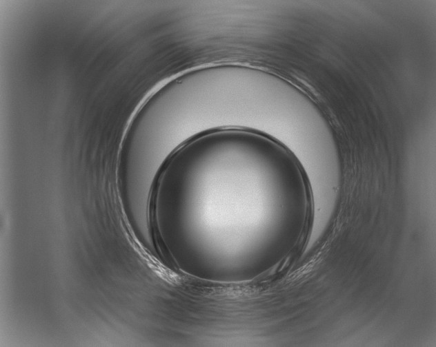 X0000057060948200509120845