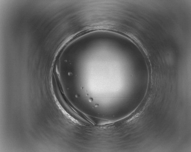 X0000057060949200509120845