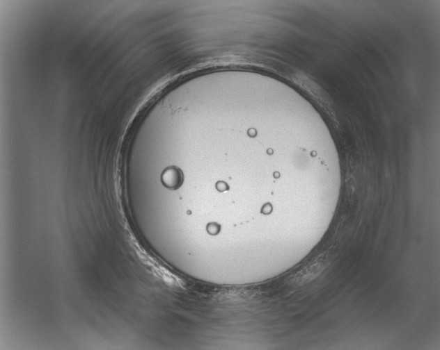 X0000057060950200509120845