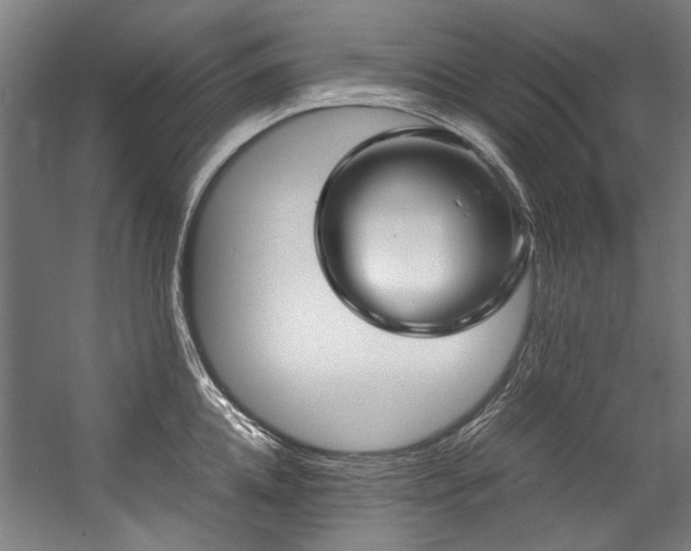 X0000057060952200509120845