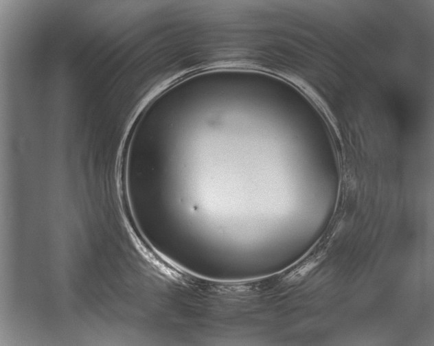 X0000057060957200509120845