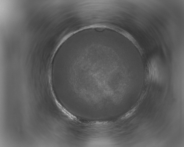 X0000057060958200509120845