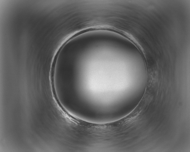 X0000057060959200509120845