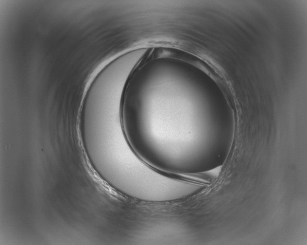 X0000057060960200509120845